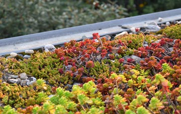 the cost of Windy Arbor green roof installation