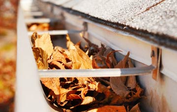 Windy Arbor gutter cleaning companies
